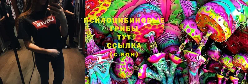 Галлюциногенные грибы MAGIC MUSHROOMS  Калачинск 